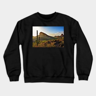 Cactus In The Sun Crewneck Sweatshirt